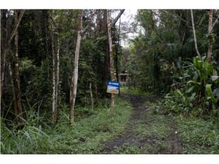 Bo. Borinquen