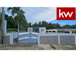 BO. FACTOR, CASA EN ARECIBO