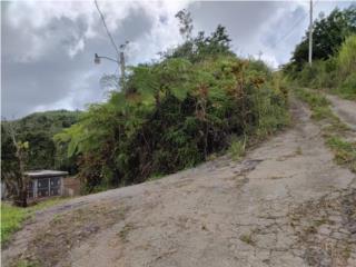 Terreno con estructura en Bo. Indiera Baja