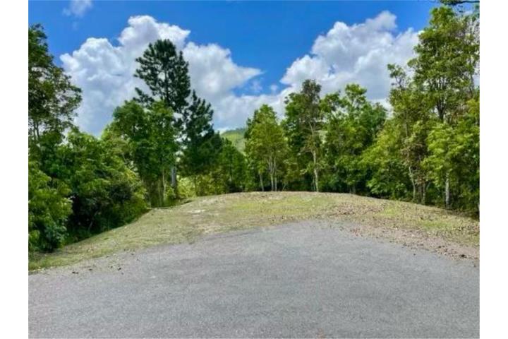 2 cuerdas de Terreno en Cayey, $115,000 OMO