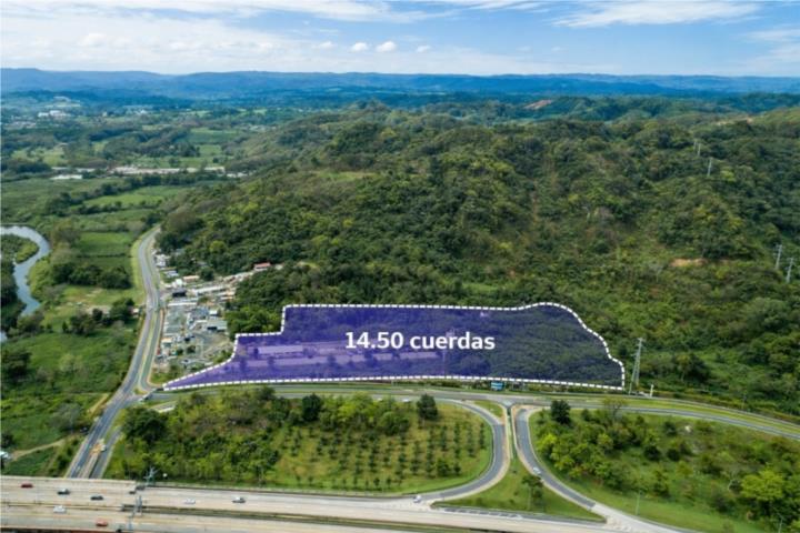 High-Potential 14.5 Cuerdas in Dorado