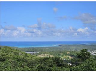 Quebrada Fajardo - Solar 4.86 cds. $299,000