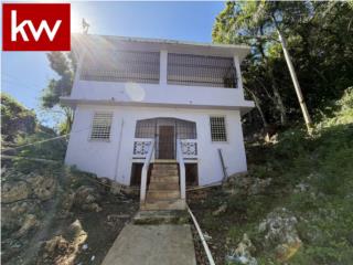BO. RIO ABAJO, CASA EN VEGA BAJA