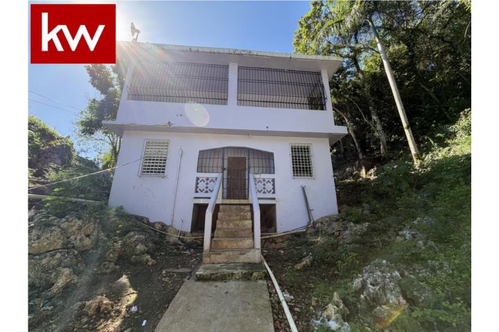 BO. RIO ABAJO, CASA EN VEGA BAJA