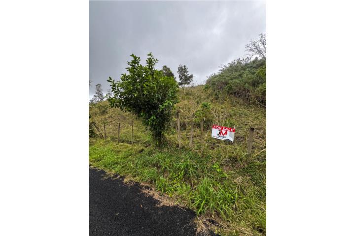 Finca 2.39 Cuerdas en Cidra: Mucho Potencial