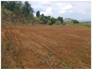 TERRENO EN VENTA – Bayamón Bo. Cerro Gordo