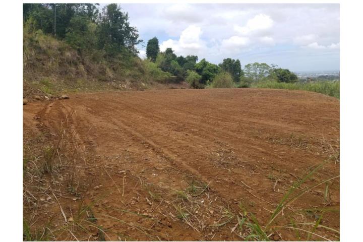 TERRENO EN VENTA – Bayamón Bo. Cerro Gordo