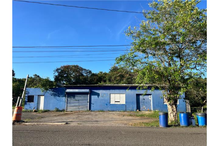 Oportunidad comercial en Camuy