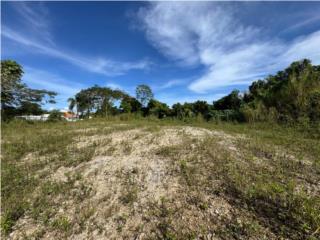 Solar de 5,895 m2 en Quebrada, Camuy
