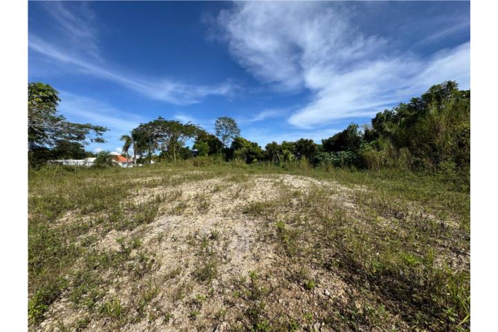 Solar de 5,895 m2 en Quebrada, Camuy