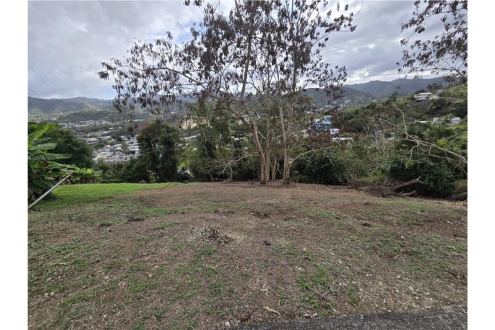 SOLAR-Barrio Toita sector Las Parras en Cayey