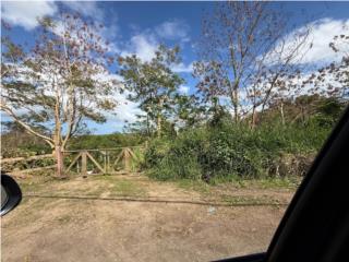 Se vende finca en Bo. Ortiz, Toa Alta