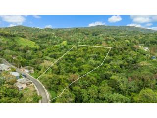 Terreno de 1.3 Acres en Hormigueros $110K