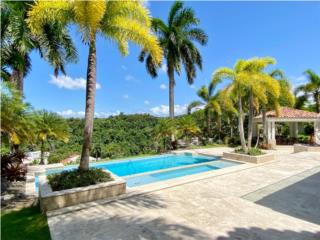 PRIVATE SAN JUAN ESTATE- RESORT STYLE