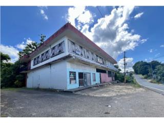 Propiedad Comercial en Almirante Sur