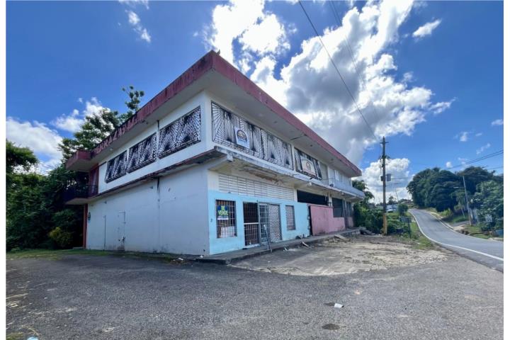Propiedad Comercial en Almirante Sur
