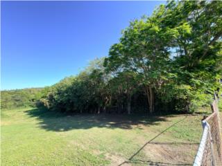 2 Cuerdas de Terreno en Vieques