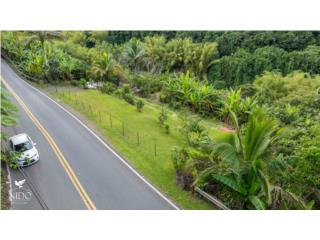 IncreÃ­ble Finca de 2 cuerdas en Adjuntas