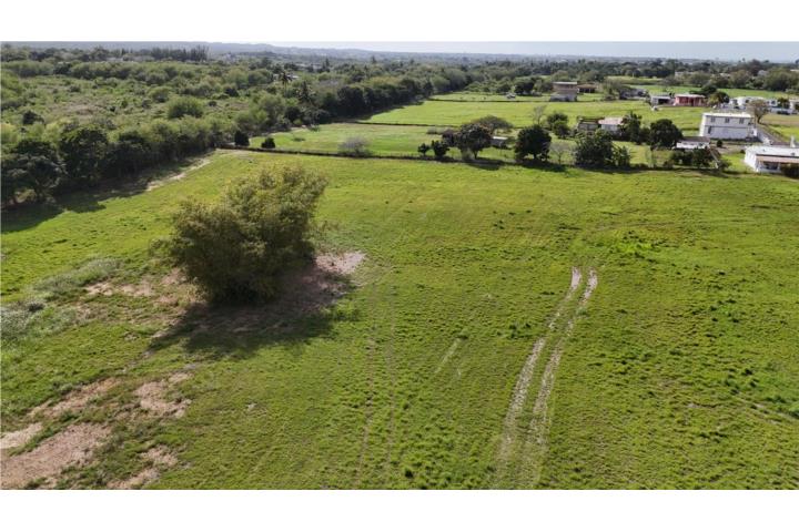 HERMOSA FINCA