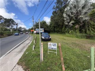 Terreno en Venta en Naranjito. 1,507 mts