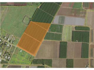 Agricultural Property Investment Opportunity