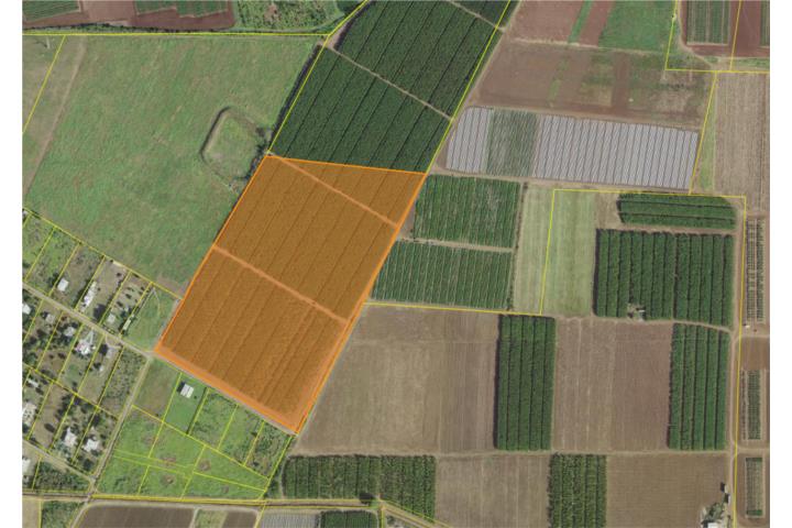 Agricultural Property Investment Opportunity