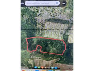 110 cuerdas aprox Juana D�az 