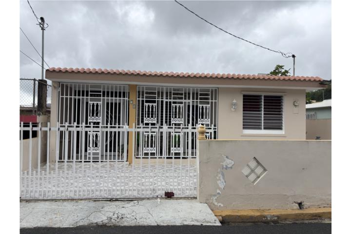 Buena Vista, Cayey