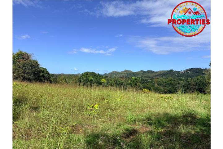 Se vende solar de 3 cuerdas PR 447 KM.