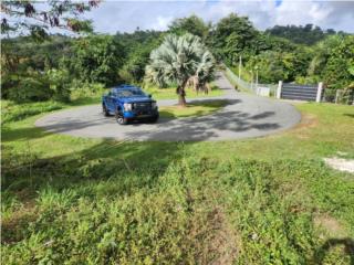 Finca 24 cuerdas 