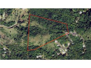 Finca J�jome Alto, Cayey Carr #15