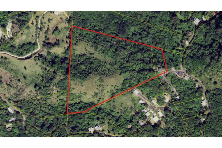 Finca Jájome Alto, Cayey Carr #15