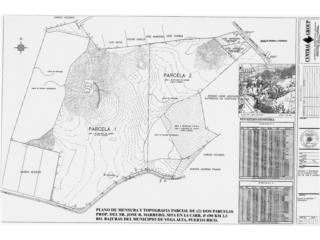 32 CUERDAS BARRIO SABANA HOYOS VEGA ALTA