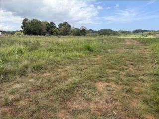 Sector Manantiales Arecibo 6000 mc $150000
