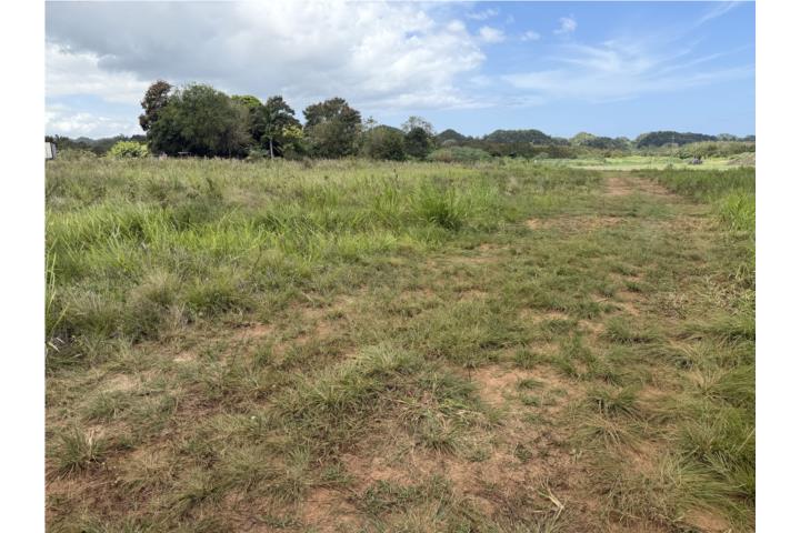 Sector Manantiales Arecibo 6000 mc $150000