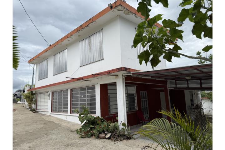 Bo. Camino Nuevo