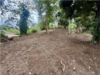 Terreno Bo. Cag�itas, Aguas Buenas