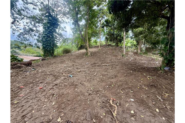 Terreno en Venta Barrio Cagüitas, Aguas Buenas ¡Gran oportunidad de inversión en el corazón de la mo