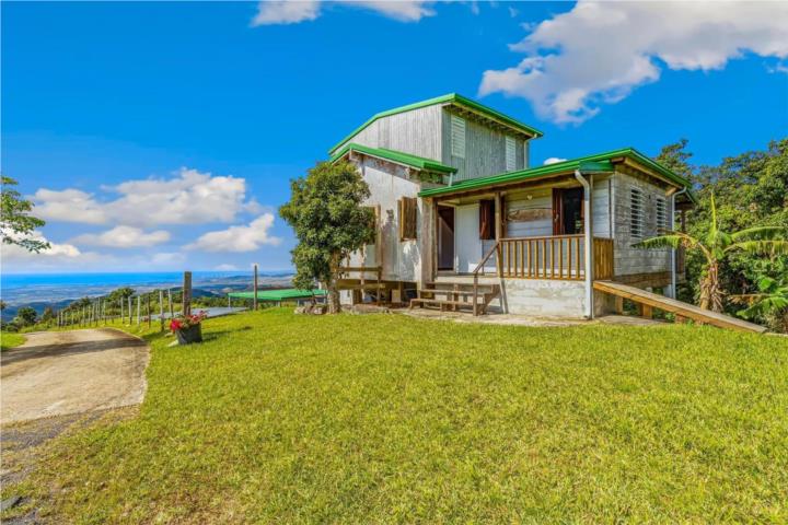 Casa/Finca en Cayey, con vista al Mar Caribe