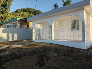 Patillas Com. Los Pollos 4H/1B / R-3?