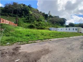 Amplio Solar con Gran Potencial en Pe�uelas