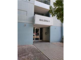 Galeria