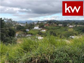 BO. QUEBRADILLAS, SOLAR EN BARRANQUITAS
