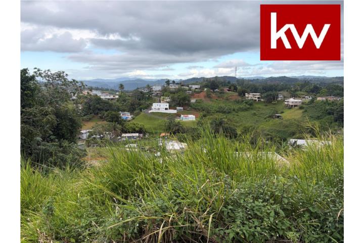 BO. QUEBRADILLAS, SOLAR EN BARRANQUITAS