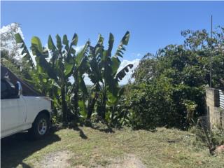 SOLAR RESIDENCIAL EN CAIMITO CON 200METROS