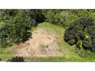 CAYEY, BO Sumido 3.9 CDS VISTA PANOR�MICA