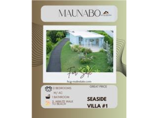 Ocean View! 3 houses! Mariani Maunabo