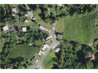 Mabu  1,345 m2 $ 60,500