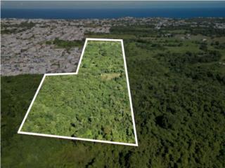 Terreno en Mansiones del Atl�ntico 20 Cuerdas $2M