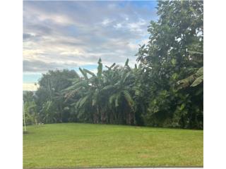 En venta finca en Bo. Collores de Las Piedras